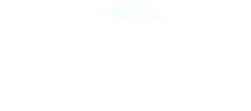 New courses and partnerships